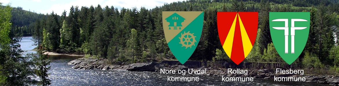 Numedalskommunene