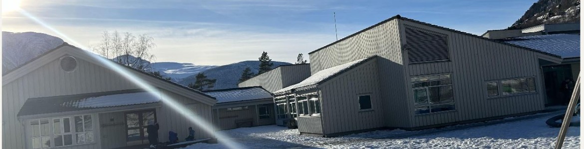 Valldal skule