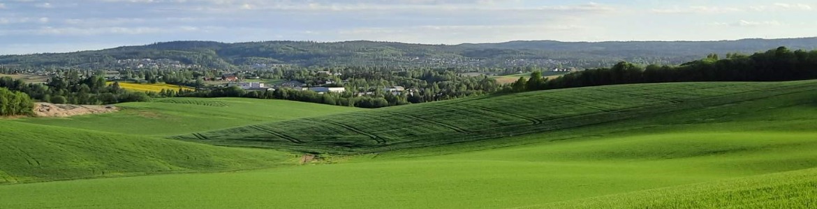 Gjerdrum - sommer