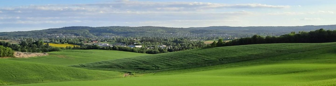 Gjerdrum - sommer