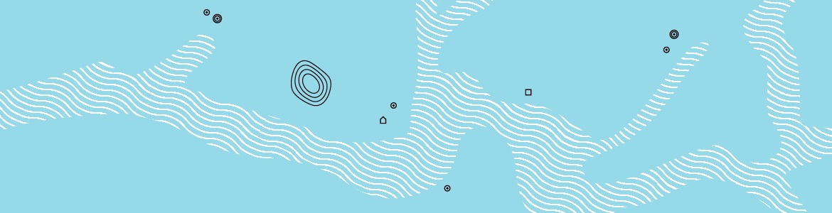 VLFK banner standard