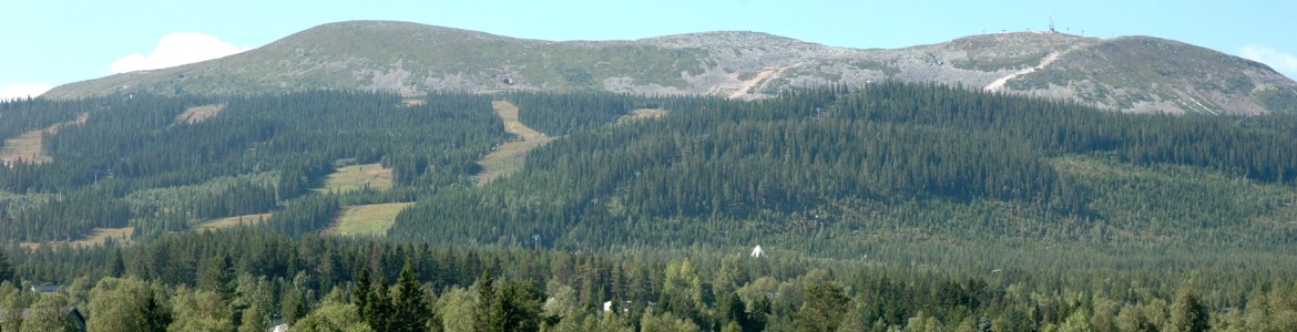 Trysilfjellet