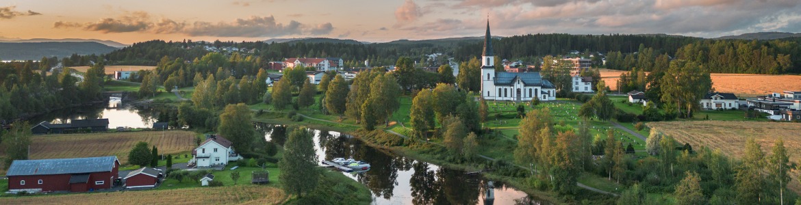 Nord_Odal