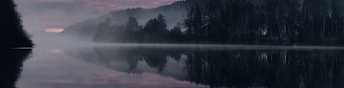 Froland kommune banner