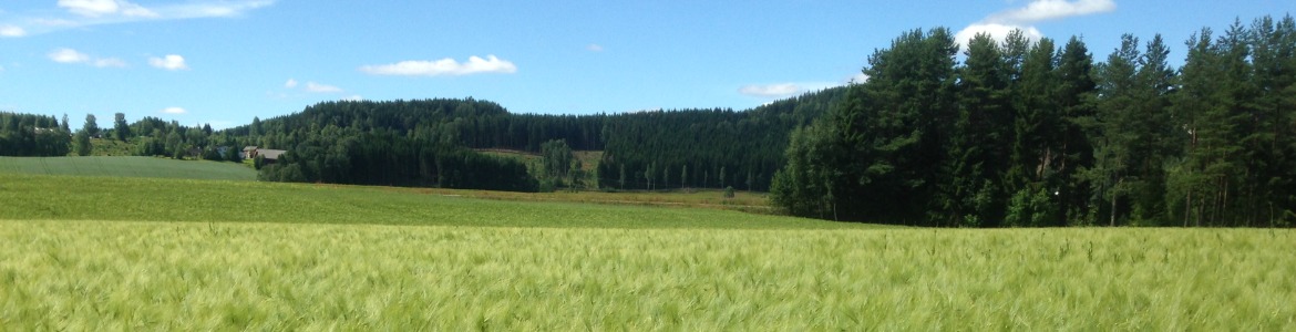 Åkerbilde tilsendt fra Landbrukskontoret