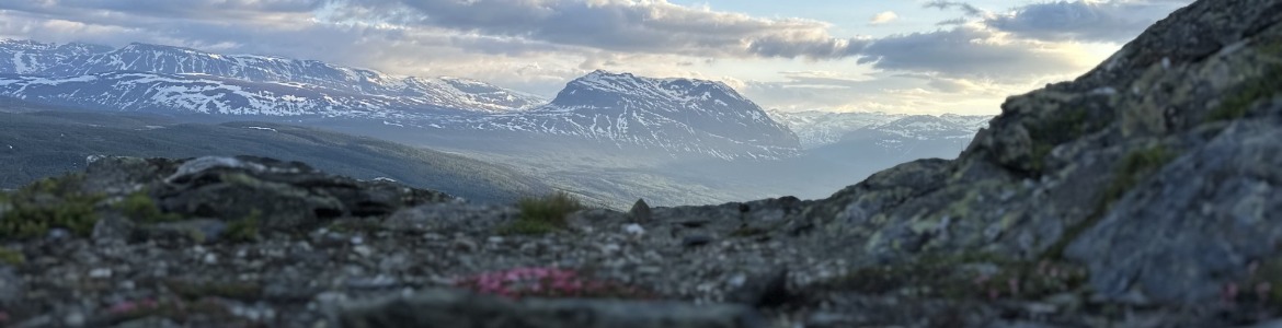Vår, Grindafjellet