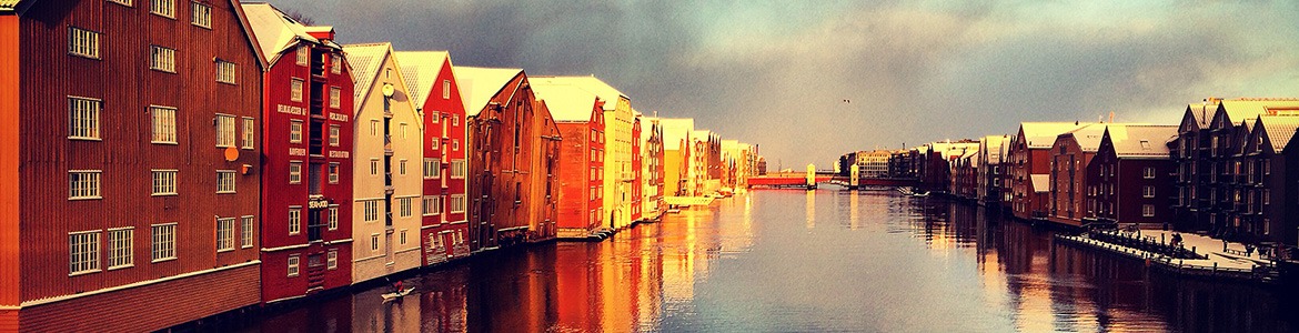 Brykkerekke og Nidelva - Chin-Yu Lee1